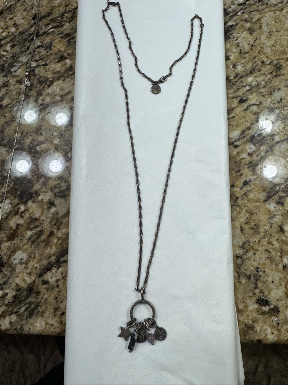 Alex and Ani Long Silver-Tone Necklace with Charms